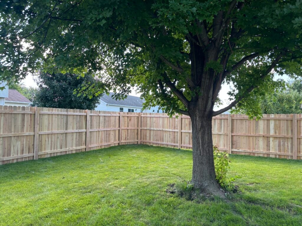 Privacy Fence Installation